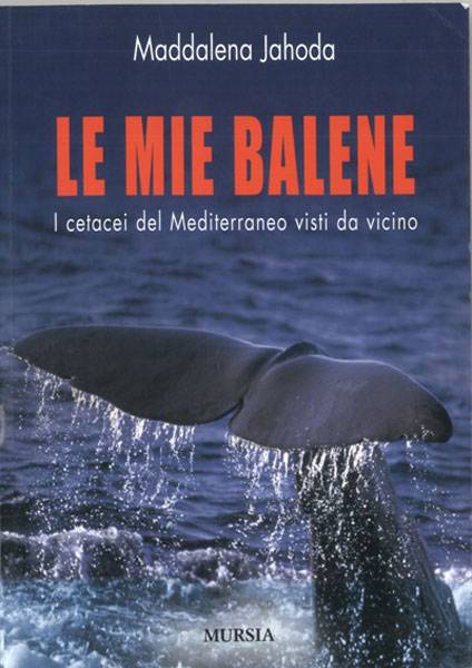 Le mie balene