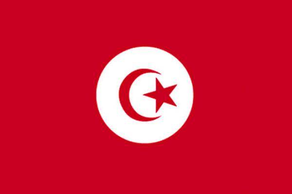 Tunisia - 30x45cm